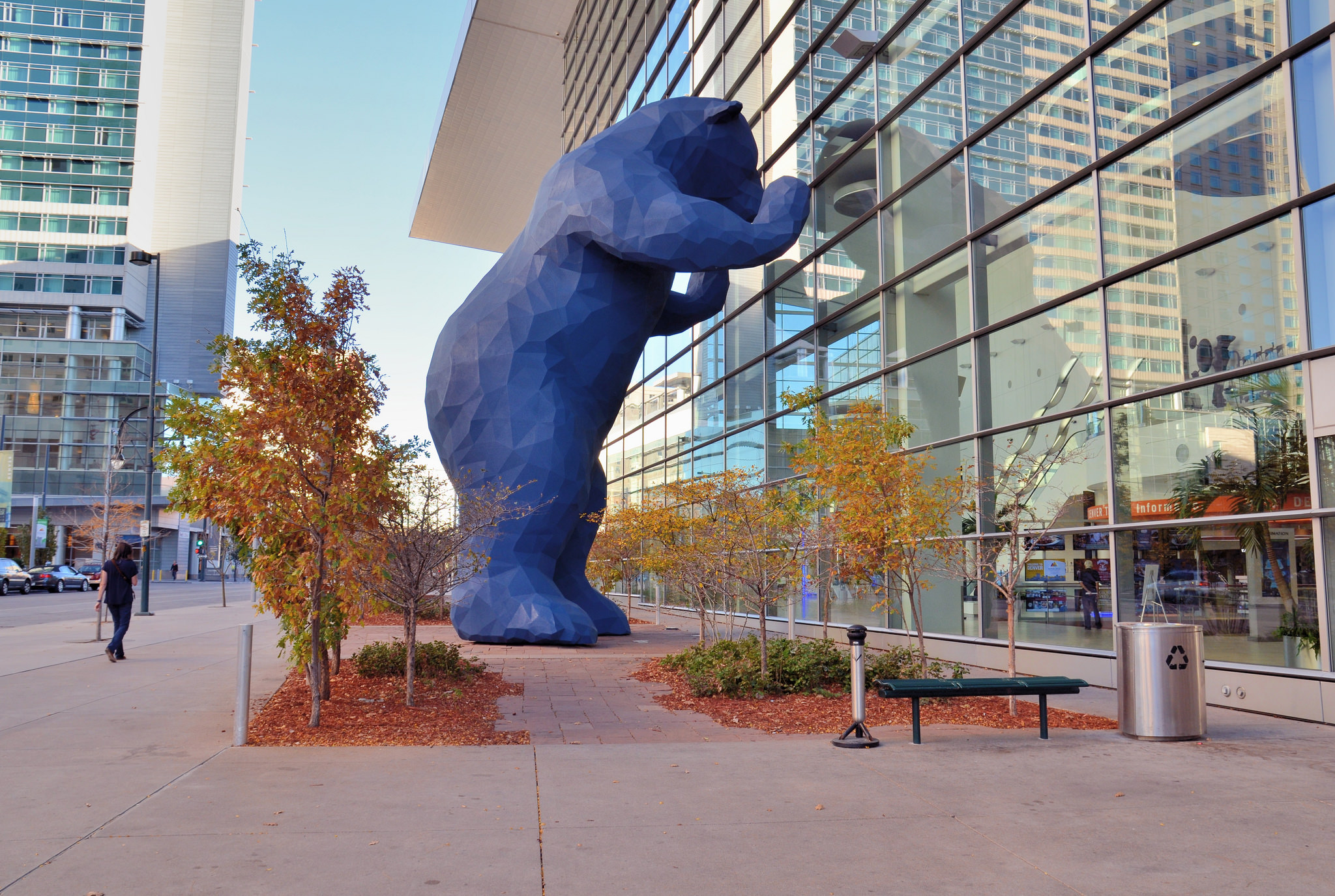 Denver Blue Bear